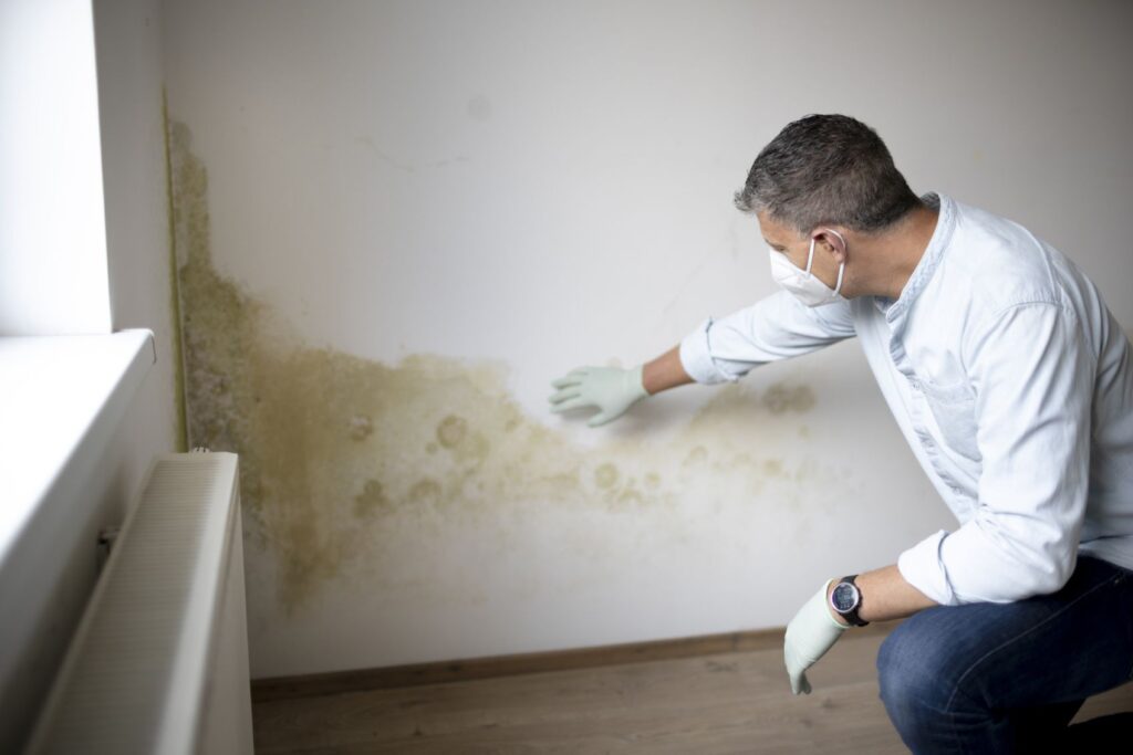 man inspecting mould in his house
