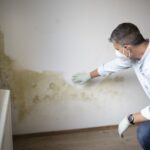 man inspecting mould in his house
